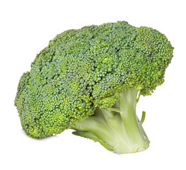 broccoli isolated on white background