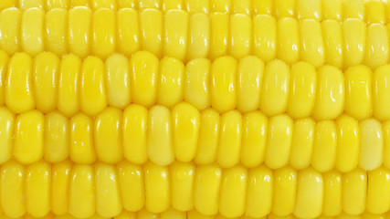 canned corn