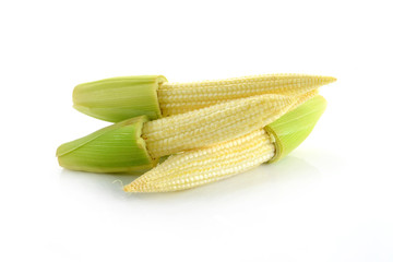 baby corn isolated on white background