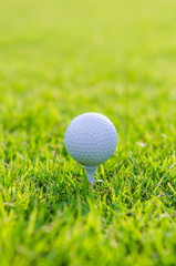 Golf ball on green grass