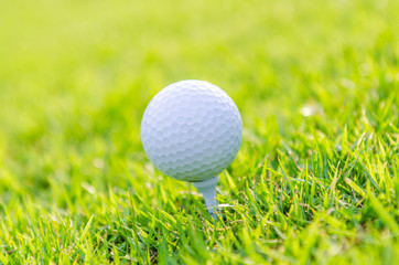 Golf ball on green grass