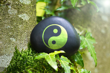 Yin & Yang