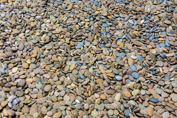 Sea stones