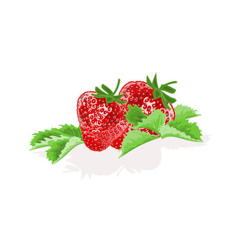 Strawberries with leaves fruit healthy food vector