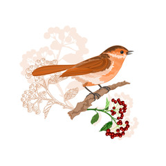 Bird on a branch with berries nature background vector