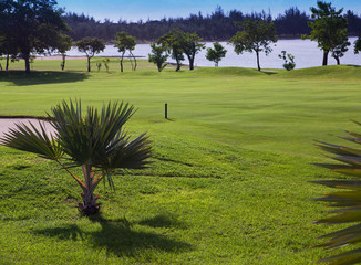 Green lawn near the lake on a tea plantation. Mauritius