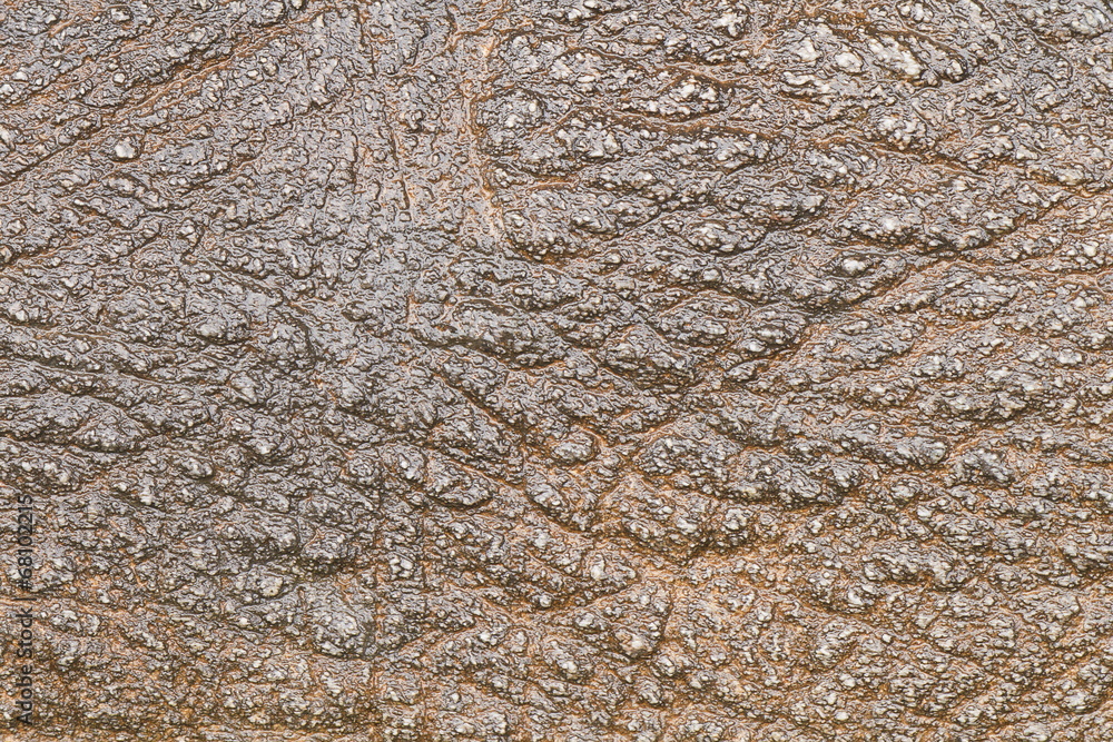 Poster Texture of stone for background and pattern