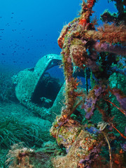 Airplane wreck (Punta Nera/Isle of Elba)