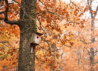 Birdhouse