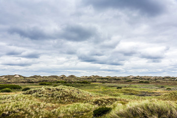 landscape at the island of fanoe