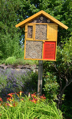 insektenhotel