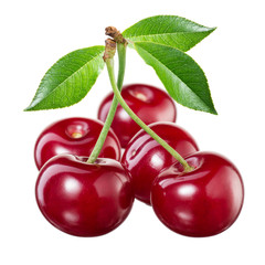 Cherries isolated