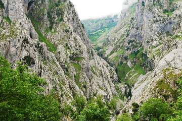 mountain gorge in national park Picos de Europa