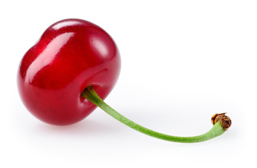 Sour cherry isolated on white © Tim UR