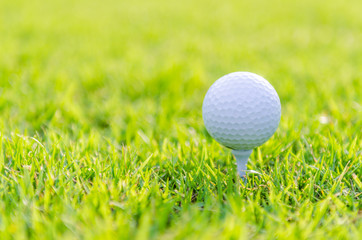Golf ball on green grass