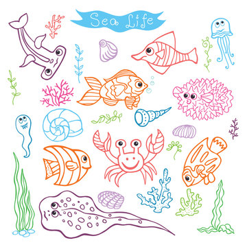 Colorful Doodle set.Funny Sea Life