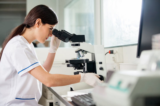 Female Scientist Looking Through Microscope