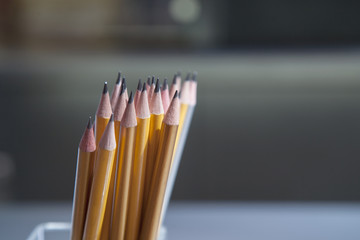 Set of Yellow Pencils