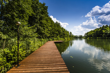 Fototapeta na wymiar Lake Wigry National Park. Poland