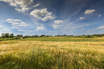 Suwalki Landscape Park, Poland.