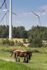 Fototapeta na wymiar Wind turbines in Suwalki. Poland