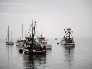 Vintage fishing boat in Monterey harbor, California