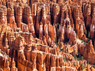 Amphitheater from Inspiration Point at Bryce Canyon National Par
