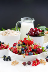 fresh berries, fruit, cereal and milk for breakfast