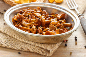 Cantharellus cibarius, commonly known as the chanterelle,