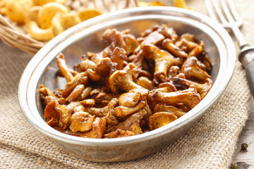Cantharellus cibarius, commonly known as the chanterelle,