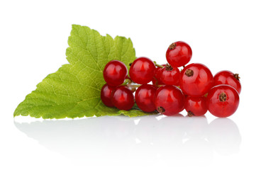 Photo of redcurrant with leaf isolated on white