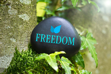 Freedom