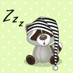 Sleeping Raccoon