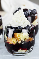 Delicious Blueberry Trifle