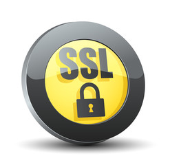 SSL 100% Secure Transactions