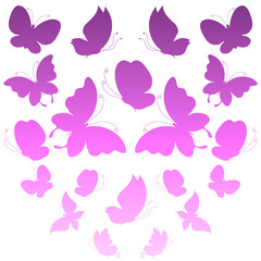 butterflies design