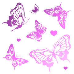 butterflies design