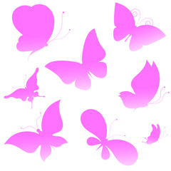 butterflies design