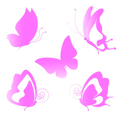 butterflies design