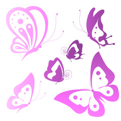 butterflies design