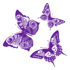 butterflies design
