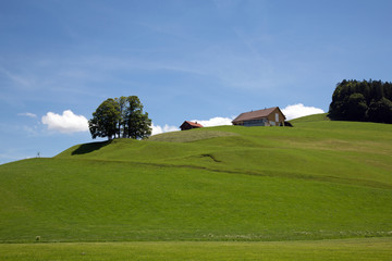 Wiesenlandschaft mit kleinen Wolken