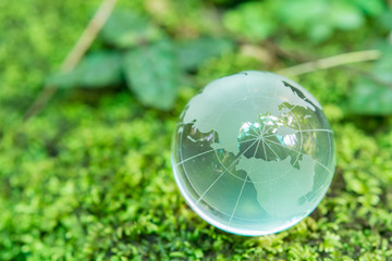 Obraz na płótnie Canvas Glass globe in green grass