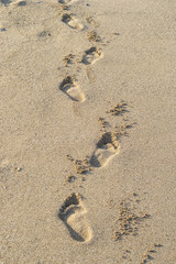 Footprints in sand