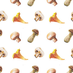 watercolor mushrooms pattern