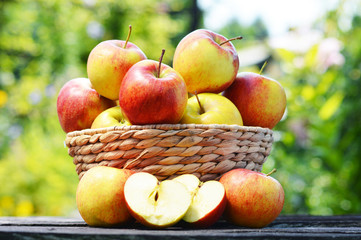 Organic apples in the garden. Balanced diet