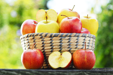 Organic apples in the garden. Balanced diet