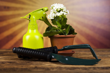 Garden boots with tool, plant