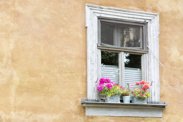 Plakat Altes Fenster an einer Häuserfassade mit Blumen