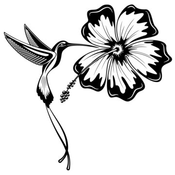 Hibiscus flower in tattoo style. Black and white, graphic tropical flower  Stock Vector Image & Art - Alamy